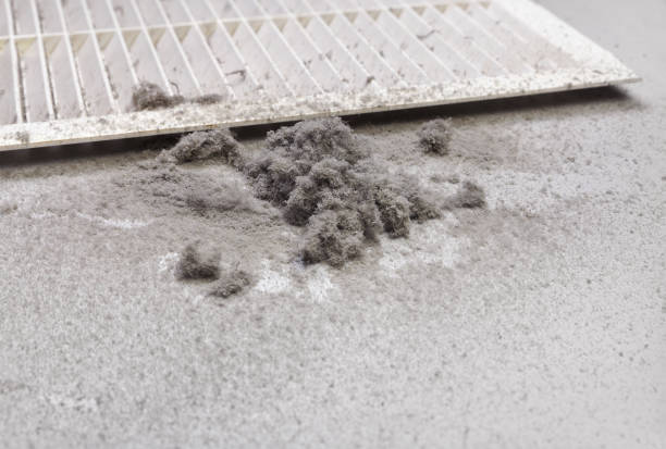 Best Dryer Vent Cleaning Services  in Lumberton, MS
