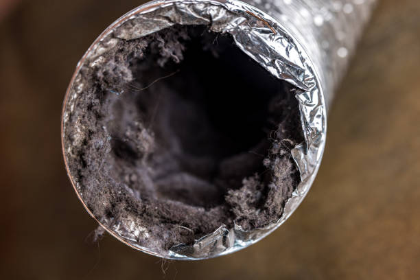 Best HVAC System Cleaning  in Lumberton, MS